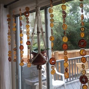 Dried Bohemian Citrus Strands